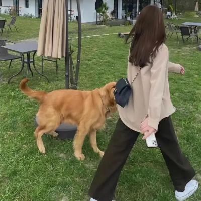 针刺