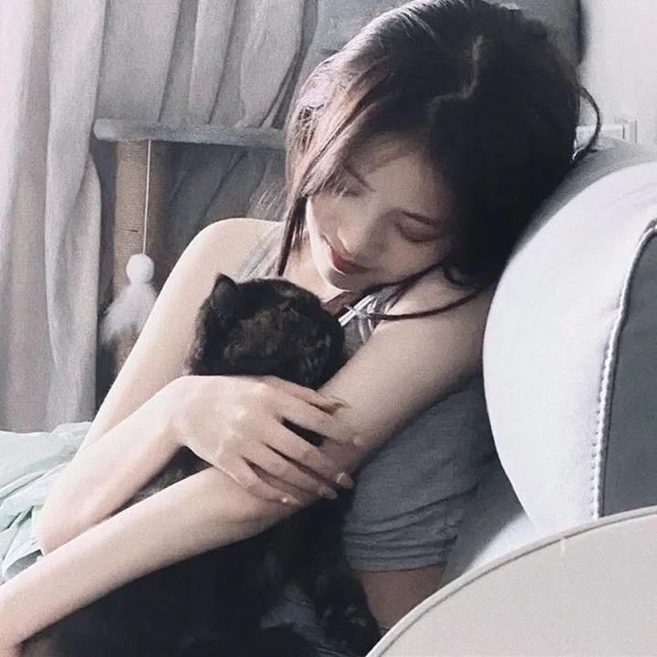 名校风暴第七季